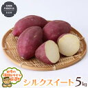 【ふるさと納税】シルクスイート 5kg 【2024年10月から発送開始】（県内共通返礼品：行方市産） さつまいも シルクスイート 芋 いも 野菜