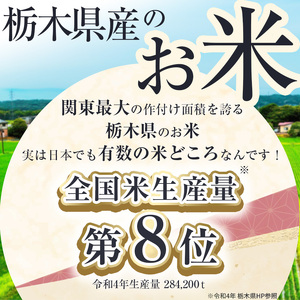 【栃木県共通返礼品】【先行予約】【12月発送】【数量限定】令和7年度新米 栃木県産にじのきらめき（玄米真空パック） 2kg×2  | 玄米 精米 お米 コメ にじのきらめき 先行予約 ブランド米 栃木