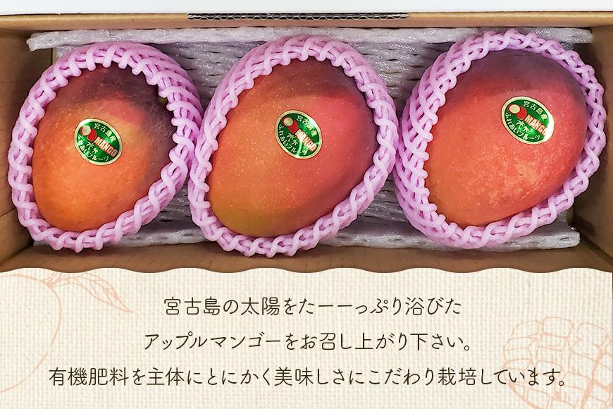 ＜2026年夏発送＞【家庭用】激うま！宮古島産アップルマンゴー1kg(2～3玉)ふれあいフルーツ宮古島(FA01)