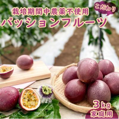 ふるさと納税 糸満市 【2026年発送・ご家庭用3kg(30玉前後)】栽培期間中農薬不使用のパッションフルーツ　