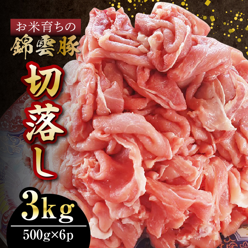 【ブランド豚肉】お米育ちの錦雲豚　切落し3kg　500ｇ×6p　FN1202