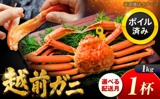 【先行予約/11月7日より順次発送】越前がに 1kg×1杯 小浜市 / まるほ商店 【配送不可地域：北海道・沖縄・離島】[BFCS030-11]