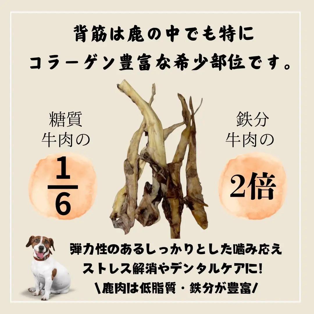 ペットフード研究所 国産無添加【低脂肪・低脂質】鹿スジ50g【087E-053】