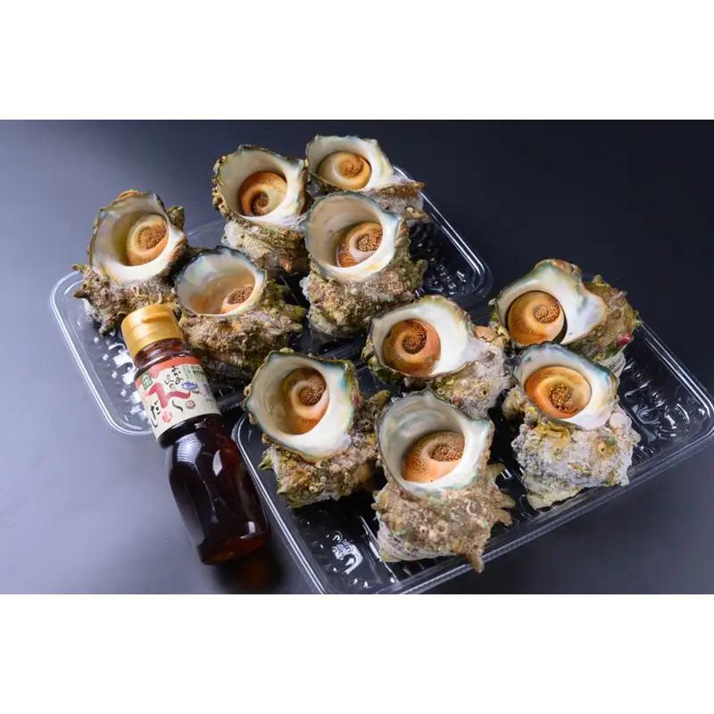 天然サザエボイル1.6㎏ 小サイズさざえ万能ダシ付き