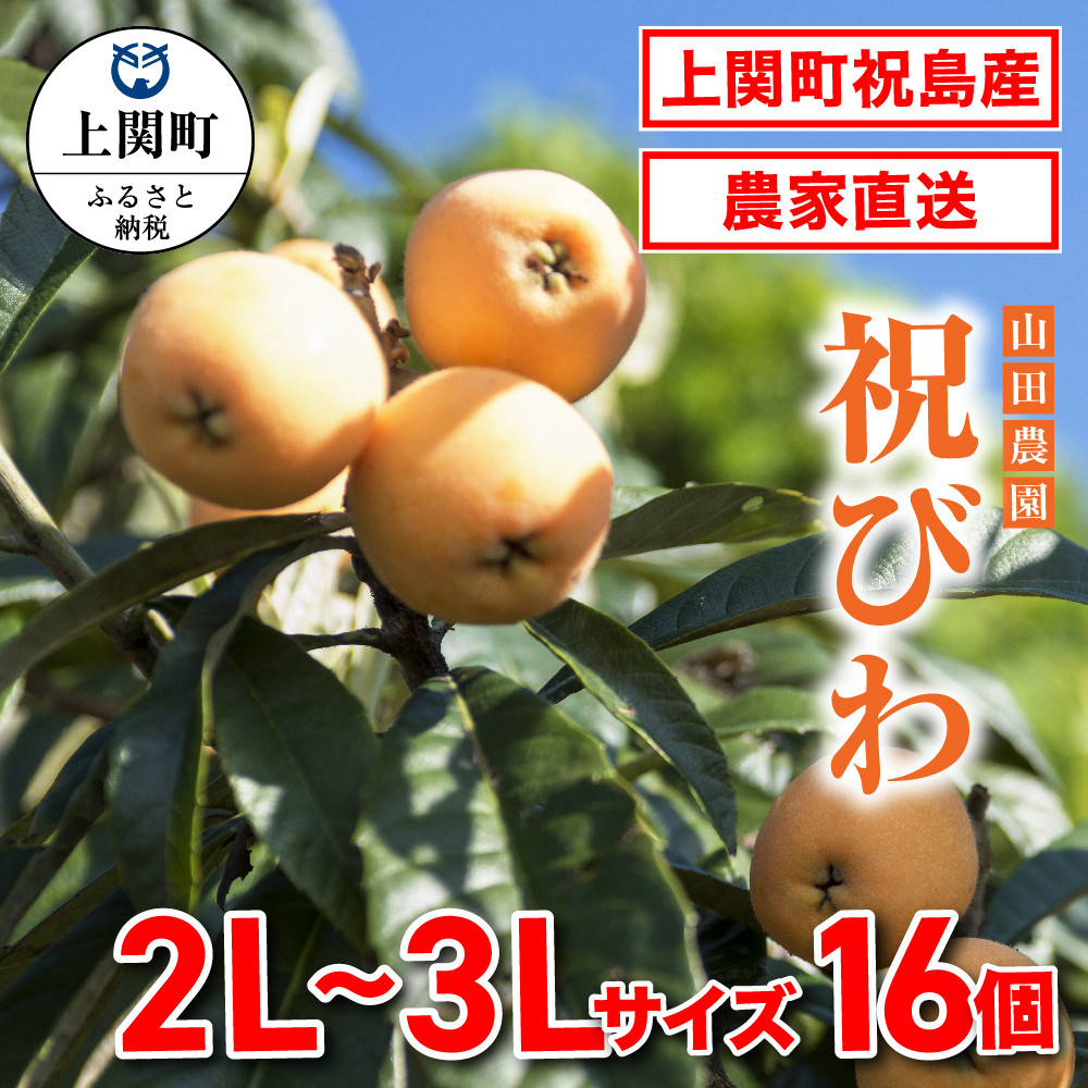 
A-6　祝びわ【山田農園】
