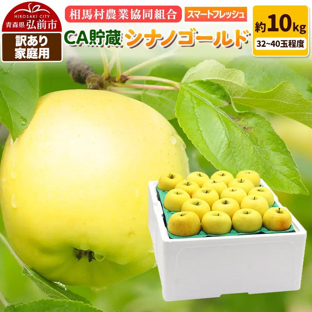 りんご シナノゴールド 訳あり 家庭用 約10kg【3月クール便発送】りんご