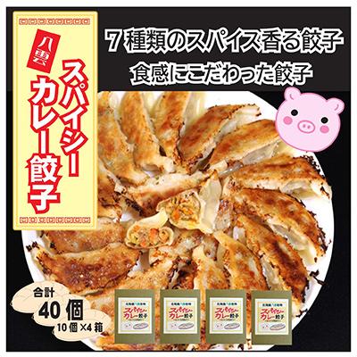 ふるさと納税 八雲町 スパイシーカレー餃子(10個×4箱)