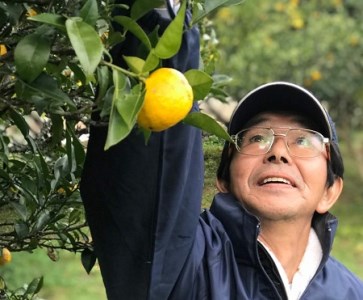 ゆず酒 ならはのゆず里愛  柚子 果実酒 500ml 2本セット【ゆず 果実酒 酒】