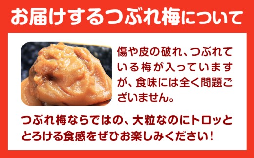 ご家庭用 とろける果肉 紀州南高梅 はちみつ梅 つぶれ梅 大容量 900g 有限会社プラム《30日以内に出荷予定(土日祝除く)》和歌山県 日高川町 梅 うめ ウメ 南高梅 梅干し 梅干 つぶれ梅 蜂蜜