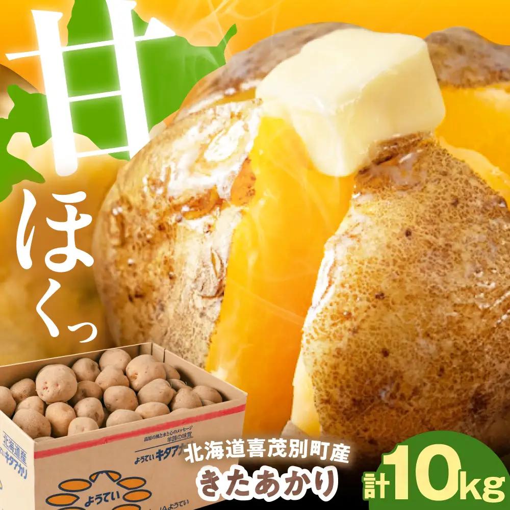  【先行予約】じゃがいも キタアカリ 10kg じゃがいも AJAK010
