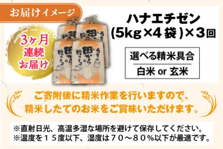 【先行予約】【令和8年産・新米】定期便 ≪3ヶ月連続お届け≫ ハナエチゼン20kg×3回 計60kg ～本原農園からまごころコメて～（白米）【2026年9月上旬以降順次発送予定】 [M-8907]