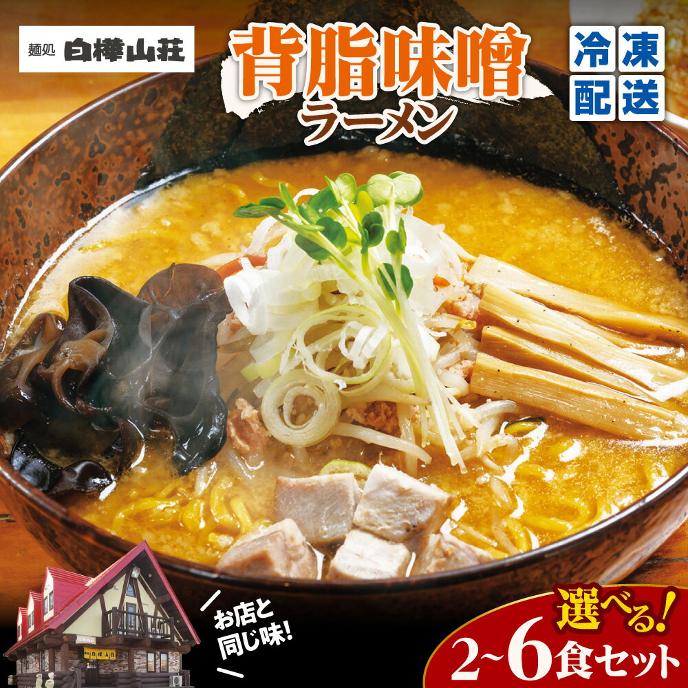 【ふるさと納税】 札幌 味噌ラーメン 白樺山荘 【 選べる セット 】 2食 4食 6食 ラーメン 背脂味噌 味噌味 味噌 とんこつスープ 冷凍 豚チャーシュー メンマ キクラゲ 名店 らーめん 拉麺 お取り寄せ グルメ ギフト 贈答 冷凍 個包装 小分け 北海道 札幌市