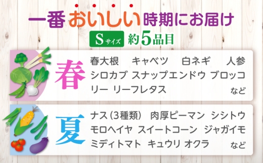 【先行予約】【2027年1月以降発送開始】【全6回定期便】旬の野菜セットSサイズ 島根県松江市/須山農園 [ALBD012]セット 産地直送 詰め合わせ 旬の野菜 旬野菜 野菜詰め合わせ 国産野菜 新