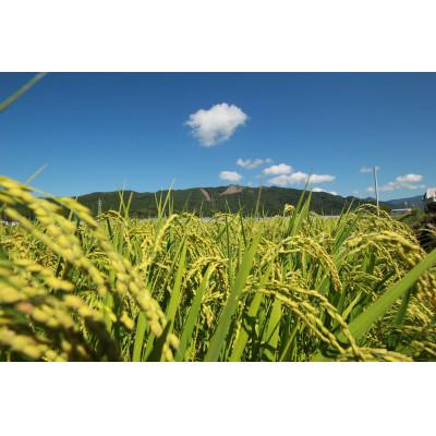 ふるさと納税 安芸市 《令和7年産》新嘗祭皇室献上米農家が作った「コシヒカリ」10kg(白米) |  | 02