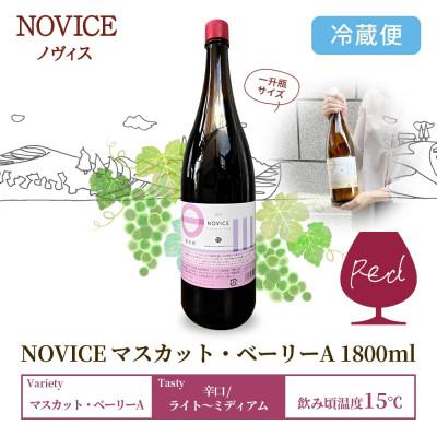 ふるさと納税 笛吹市 赤ワイン NOVICE マスカット・ベーリーA 1800ml×1本 日川中央葡萄酒 山梨県笛吹市 |  | 03