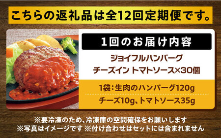 【全12回定期便】【福岡工場直送】ジョイフル ハンバーグ 30個 ( チーズイン + トマトソース)《築上町》【株式会社　ジョイフル】 [ABAA050] 220000円 22万円