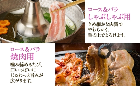 豚肉セット 豚ロース 豚バラ 各3種 岐阜県産 豚肉セット【3kg(各500g)】