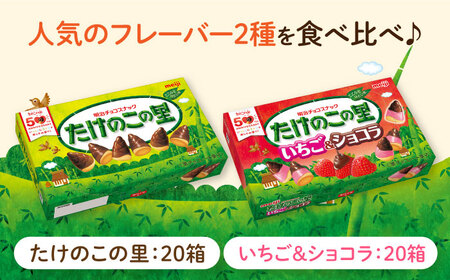 明治 たけのこの里 たけのこの里いちご＆ショコラ 各20箱（計40箱）[AOAA065]