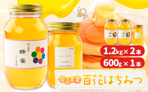 はちみつ 蜂蜜 百花 1.2kg 2本 600g 1本 計 3本 かもがた養蜂 《30日以内に出荷予定(土日祝除く)》 岡山県 浅口市 送料無料 ハチミツ 百花蜜 百花はちみつ 岡山県産