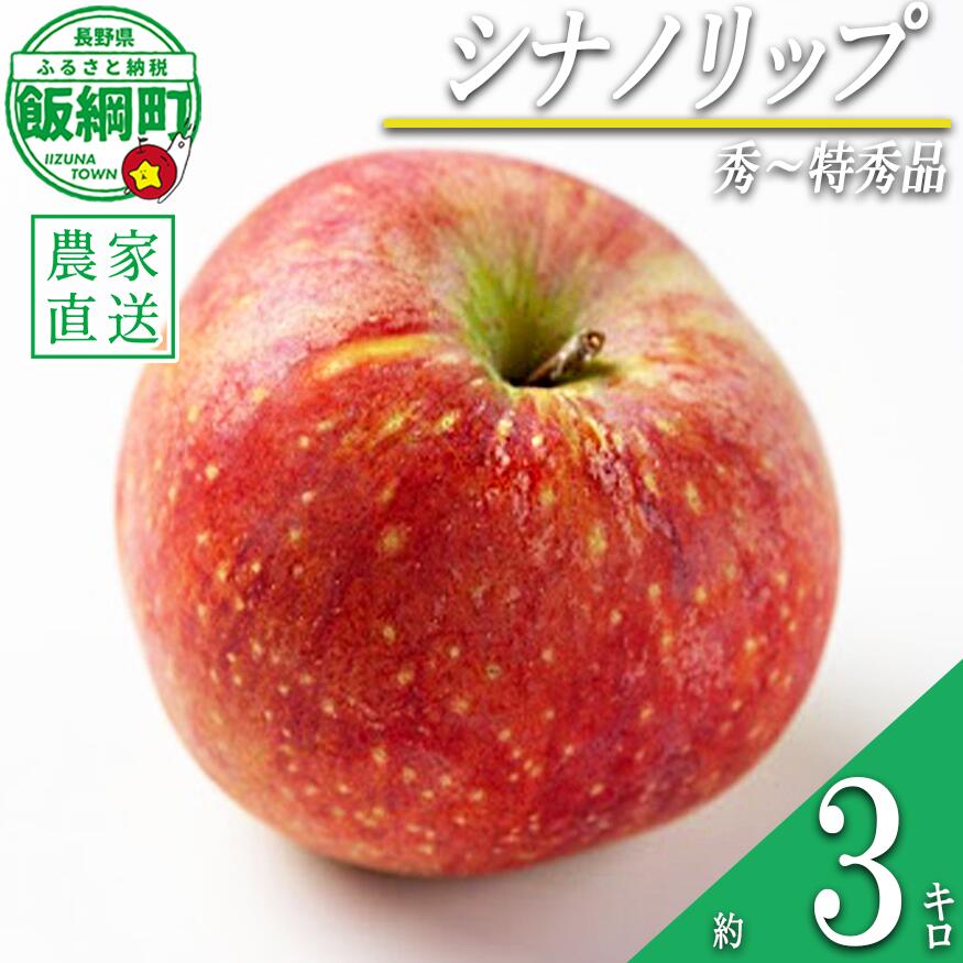 【ふるさと納税】 りんご シナノリップ 3kg 秀〜特秀 関果樹園もりんご 沖縄県への配送不可 〔 果物 フルーツ 林檎 長野 予約 農家直送 贈答用 3キロ 12000円 〕【令和8年度収穫分】 発送：2026年8月中旬〜