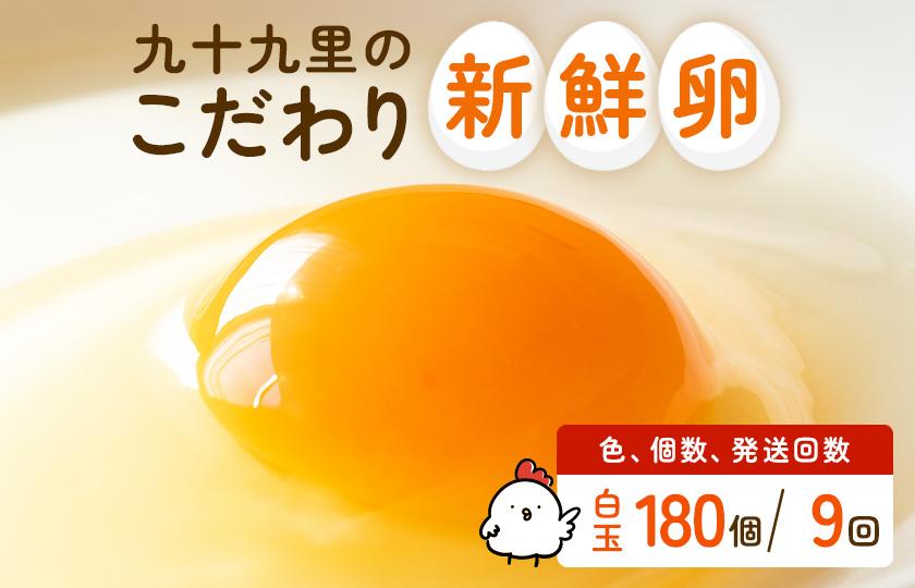 【定期便9回】九十九里ファームこだわりたまご贈答用 180個 ～あおい海・みどりの里～《白玉》 たまご 卵 玉子 タマゴ 白玉 卵かけご飯 新鮮 旨み 甘み 贈答用 贈答 ギフト 贈り物 千葉県 匝瑳市