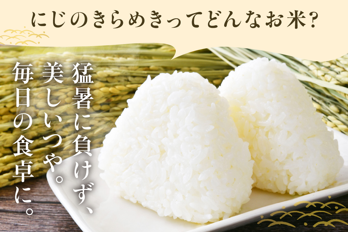 【令和8年度産】東浦町産 にじのきらめき　10kg（5kg×2袋）｜米 精米 白米