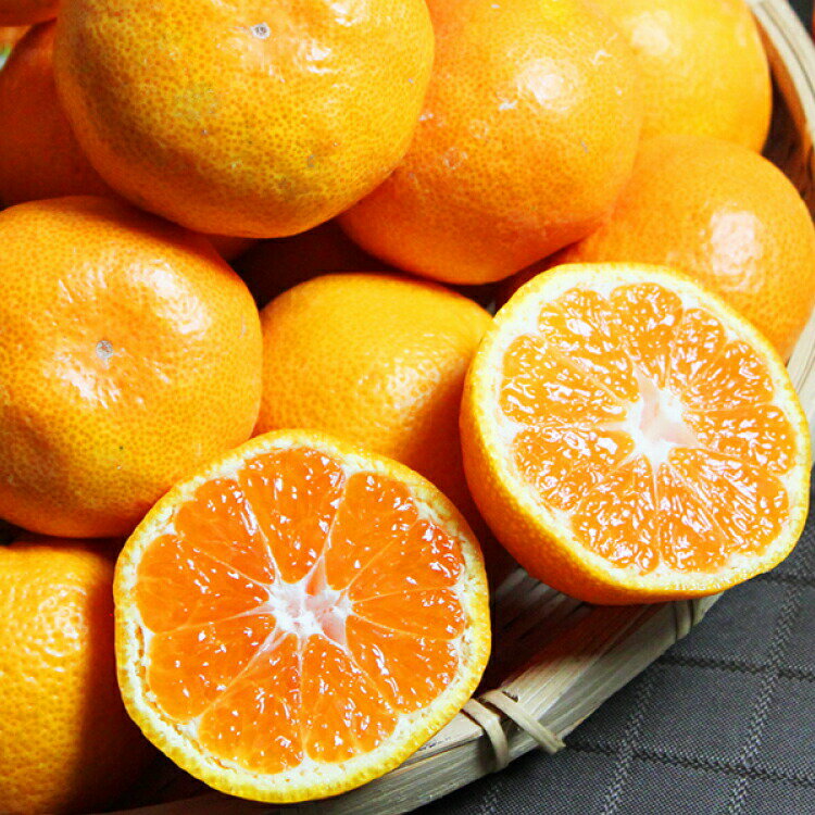 【ふるさと納税】 【先行予約受付】高級ブランド田村みかん 10kg 大玉サイズ 【2026年11月下旬頃〜2027年1月下旬頃に順次発送】（お届け日指定不可）