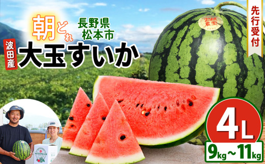 松本市 波田産 大玉すいか 4L（9kg～11kg)│ 信州 松本市 長野県 西瓜 すいか 果物 大玉 スイカ フルーツ くだもの 新鮮 果汁 ジューシー 大きい ふるーつ