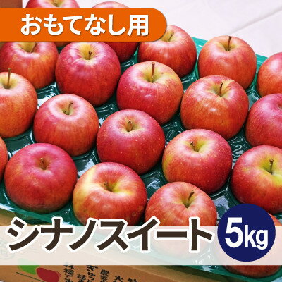 【ふるさと納税】【25年11月出荷】平均糖度13度以上! シナノスイート 約5kg おもてなし用【配送不可地域：離島・沖縄県】【1626719】