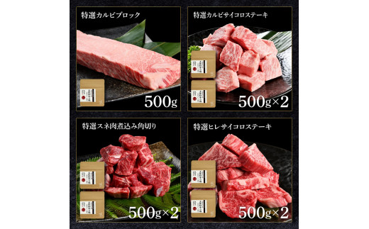 土佐和牛詰め合わせ8種Bセット 長期熟成肉 8種 詰め合わせ セット 田野屋銀象 完全天日塩付き 牛肉 肉 お肉 和牛 国産 牛 赤身 ヒレ カルビ ロース ブロック【株式会社LATERAL】 [BQ