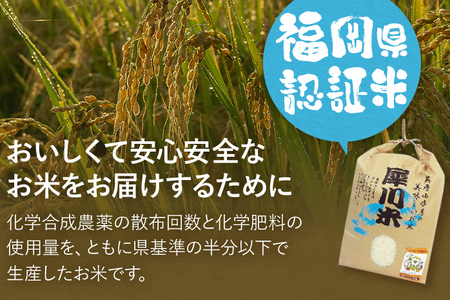 福岡県認証米 夢つくし5kgと味噌、柚子こしょう、煎茶セット 福岡 お取り寄せ 米 朝ごはん