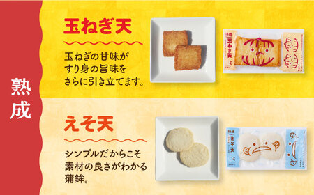 【月1回8品×6回定期便】かまぼこ詰合せ8品セット計48品＜長崎井上蒲鉾＞[EAG025]