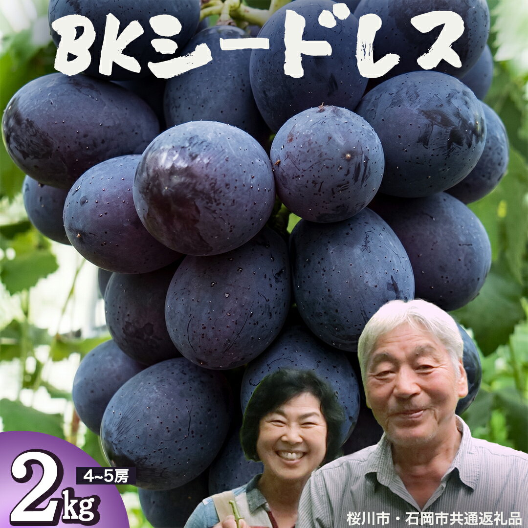 【ふるさと納税】 BKシードレス 約2kg (桜川市・石岡市共通返礼品） 2026年9月上旬発送開始 開田ぶどう園 産地直送 フルーツ 甘い 直送 茨城 限定 ギフト ぶどう BKシードレス 果物