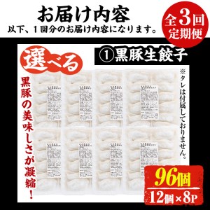 No.861t-A ＜定期便・全3回＞鹿児島黒豚使用の黒豚餃子(計96個・12個入り×8パック)×3回 国産 九州産 ぎょうざ ギョウザ 冷凍 黒豚 豚肉 お肉 おかず 頒布会【末永商店】