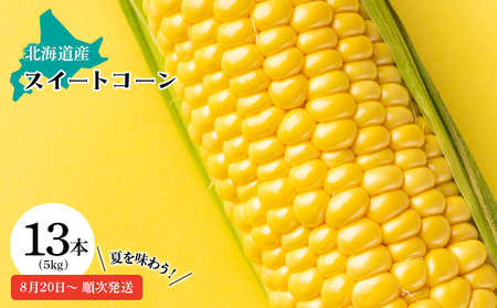 【2025年産 先行予約】スイートコーン トウモロコシ 5kg 13本入り とうもろこし とうきび 新鮮 野菜 予約 国産 北海道産【東神楽農業協同組合】