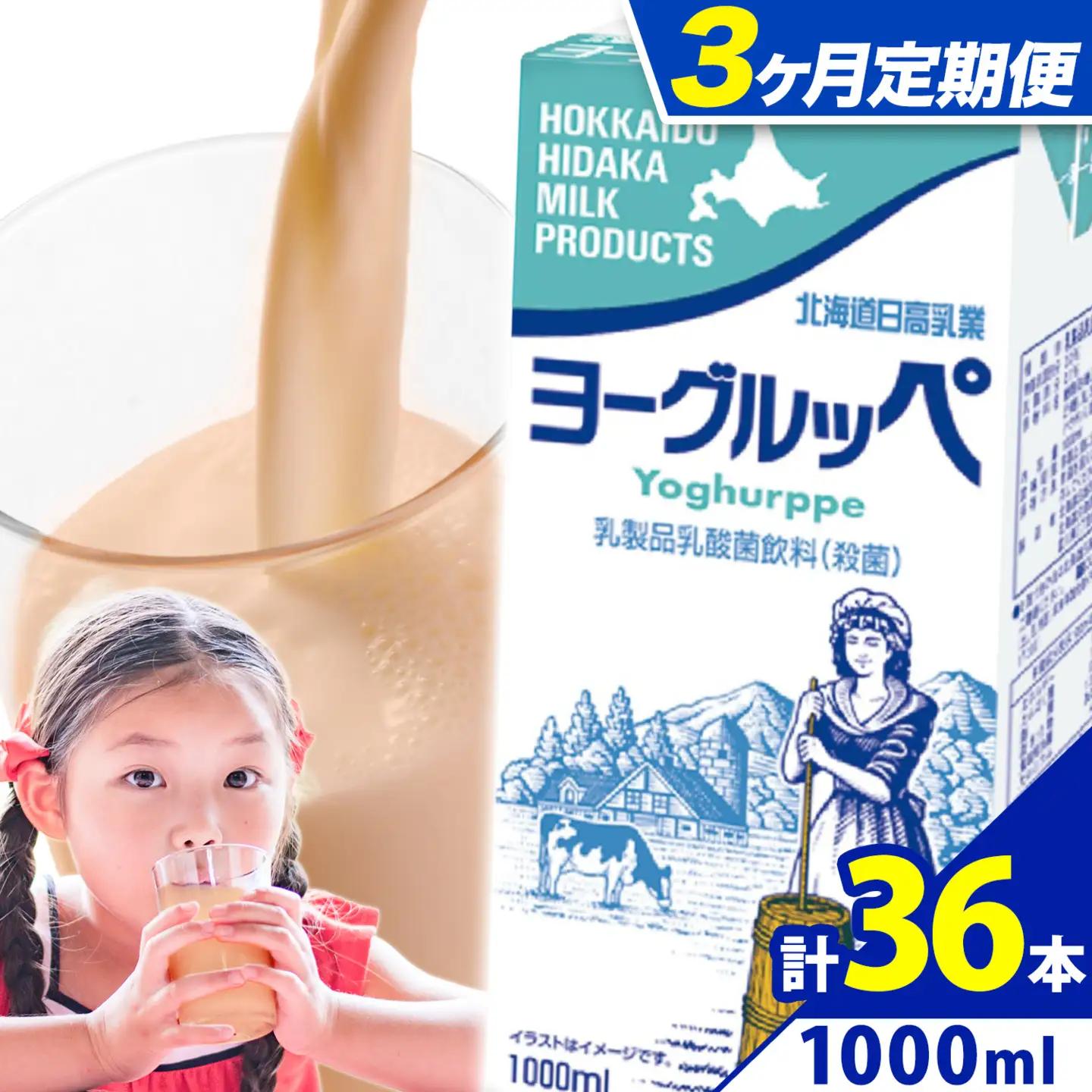 【3ヶ月定期便】ロングライフ 常温保存可能 ヨーグルッペ 1000ml × 12本 日高乳業《お申込み翌月から出荷》