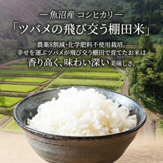 令和6年産 ツバメの飛び交う棚田米 精米3kg お米 白米 ライス ご飯 ブランド米 銘柄米 コシヒカリ 魚沼産コシヒカリ 新潟県産 魚沼市産
