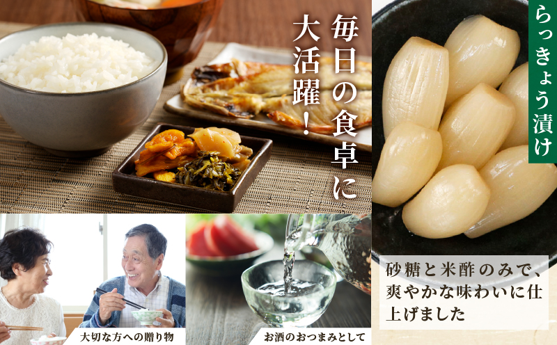 【2週間以内発送】お漬物＆惣菜10種のギフトセット(合計1kg) 漬物 おかず 野菜 加工品 国産_T037-0085
