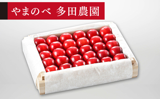 
            ≪2026年 先行予約≫さくらんぼ 特選「真夏のルビー紅姫」 桐箱詰 300g「やまのべ多田農園」 F2Y-1378
          