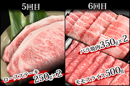 【定期便 6回】受賞歴多数!! 宮崎牛を6ヶ月で合計4.9キロ 宮崎牛づくし