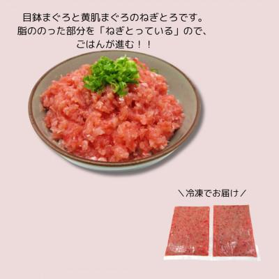 ふるさと納税 三浦市 神奈川県漁連　天然マグロ　ネギトロ　1kg(500g×2パック) |  | 01