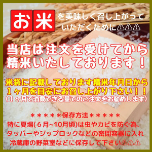 CI429_五ツ星お米マイスター監修【PREMIUMブレンド】≪無洗米≫お徳用９ｋｇ（３ｋｇ個包装×３袋）　家庭用　おすすめ　人気ブランド　特A銘柄も含む　５ｋｇ以上