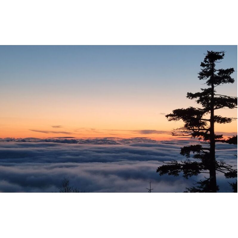 湯元凌雲閣 【 1泊朝食付 】 宿泊券 ホテル 旅館 旅行券 北海道 上富良野町 十勝岳_イメージ3