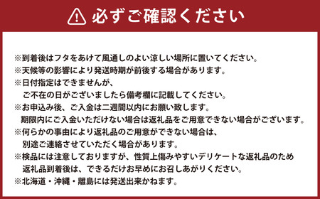 【冬の桃】 玄冬 3玉 ウインターピーチ 桃 もも モモ くだもの 果物 フルーツ 【2024年11月下旬～12月上旬迄発送予定】