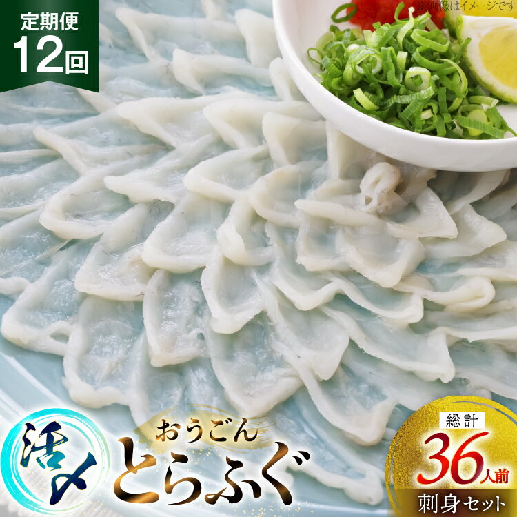 【ふるさと納税】ふぐ 刺身 セット 活〆 おうごんとらふぐ 刺身セット 3人前 12回 定期便 [松永水産 長崎県 平戸市 hr42bgy400163] ふぐ刺し とらふぐ フグ 河豚 てっさ 魚介 さかな お刺身 刺身用 さしみ 冷凍 湯引き 海鮮 切り身