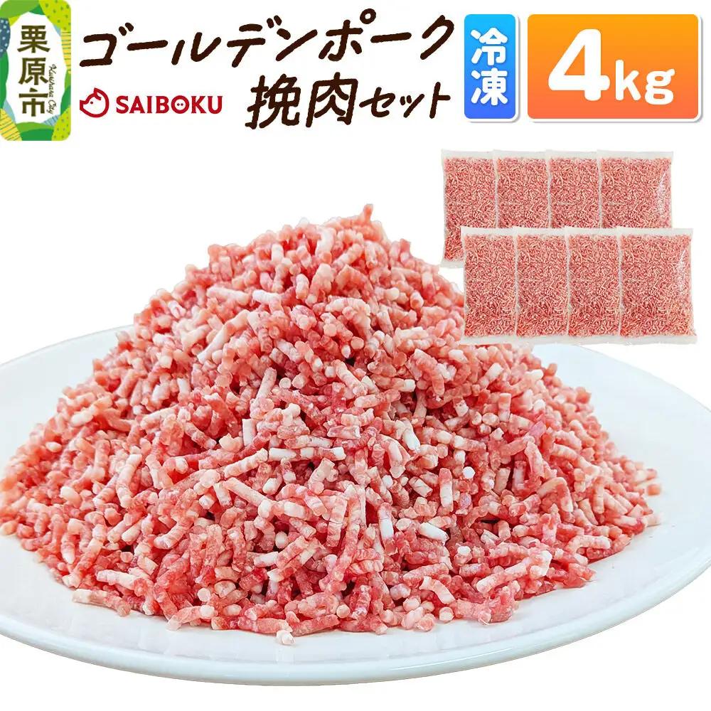 肉 豚 【冷凍】ゴールデンポーク 挽肉 4kg セット 257016U
