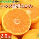 【ふるさと納税】先行予約 ハウス温州みかん 2.5kg 加温栽培 甘い 濃厚 コク ジューシー ベテラン 熊本県 産地直送 送料無料