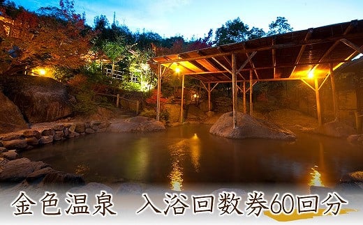 
八面山金色温泉ご入浴回数券12枚綴り5セット 日帰り温泉 大浴場 露天風呂
