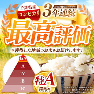 新米 無洗米 令和7年産 千葉県産 コシヒカリ 20kg 【 10月上旬以降発送 】 | コメ こめ お米 白米 ふっくら もちもち こしひかり おにぎり お弁当 千葉ふるさと蔵 イチオシ 千葉県 君