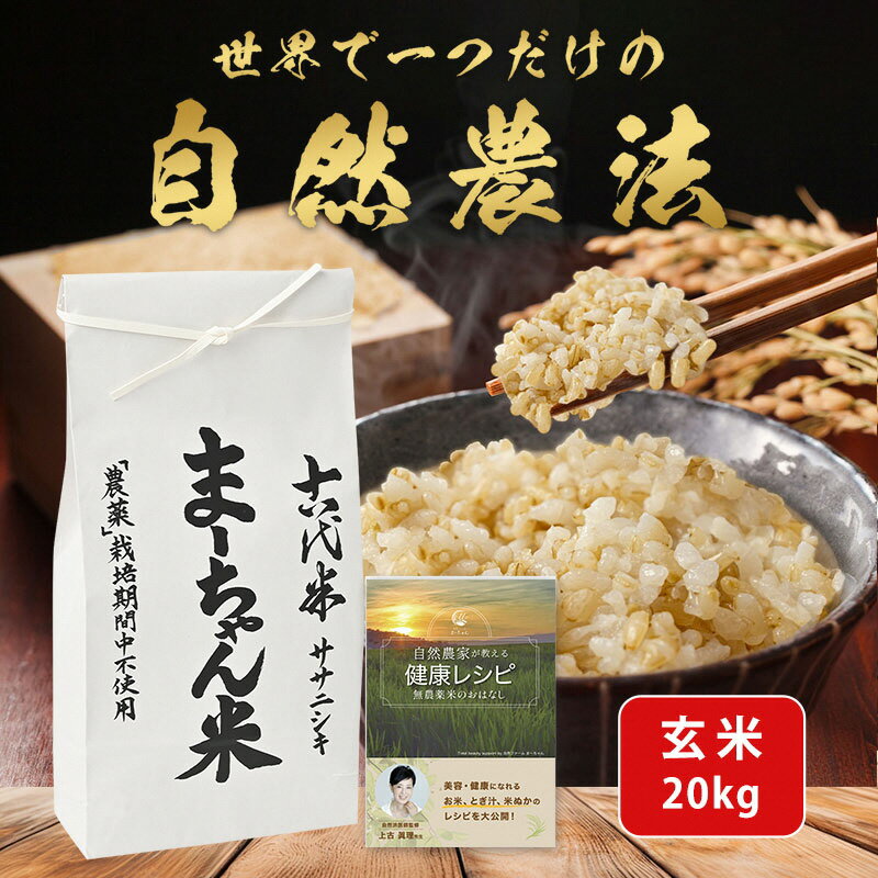 【ふるさと納税】先行予約 ササニシキ 玄米 20kg ま~ちゃん米 令和8年産米 自然農法 無農薬 自然米 古代米【053S004】